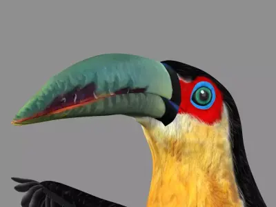 Red breasted toucan 3D model