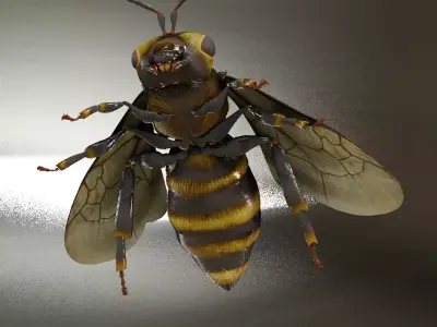 Detailed Animated Bee 3D Model Low-poly 3D model