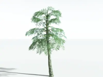 EVERYPlant Alethopteris Seed Fern 4 --12 Models-- 3D model