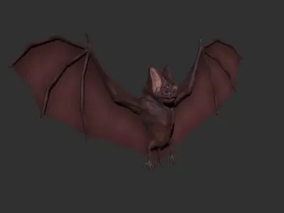 3D Bat Low-poly 3D model