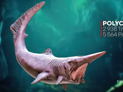 The Shark Goblin - fish - Ocean predator - Fish 3d model 9 Low-poly 3D model