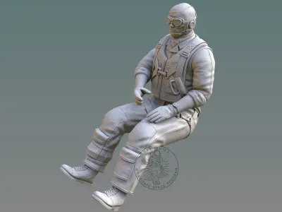 US NAVY PILOT 3D print model