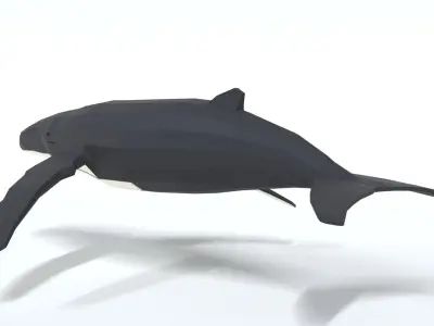 Low Poly Cartoon Humpback Whale Low-poly 3D model