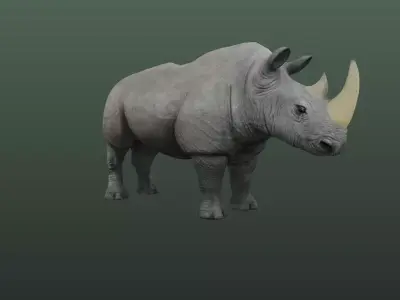 Rhino Hybrid Game Low-poly 3D model
