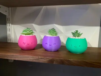 Not Kawaii Pots 1-year commercial licence 3D print model 3D print model