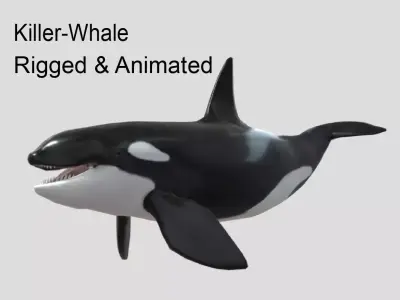 killer-whale Animated Low-poly Low-poly 3D model