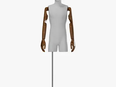 Sewing Male Mannequin 04 3D model
