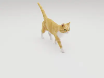 Realistic Cat Rigged 3D model