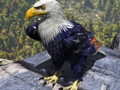 Bald Eagle 2 Stars And Stripes 3D model