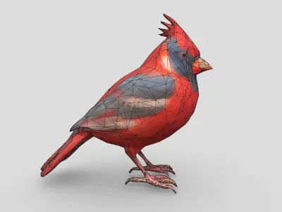 Standing Bird Cardinal Low-poly 3D model