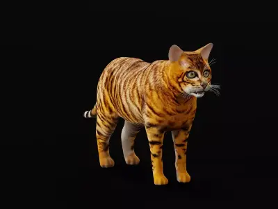 Cats Pack Free 3D model