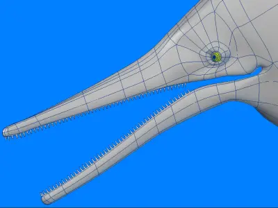 Shonisaurus Dinosaur 3D model