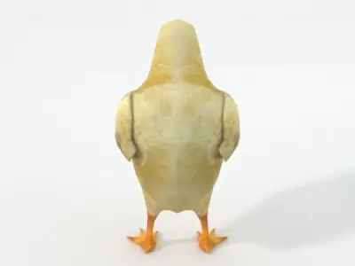 Little Chicken Low-poly 3D model