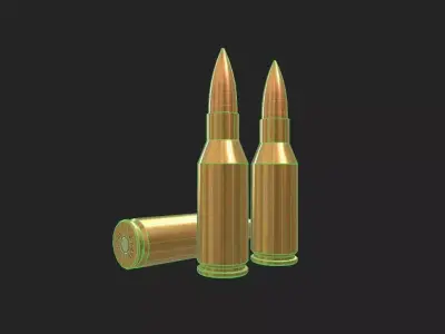 300 Olympic SSM Ammo Low-poly 3D model