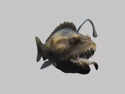Humpback anglerfish Deep-sea fish Abyss Abyssal Low-poly 3D model
