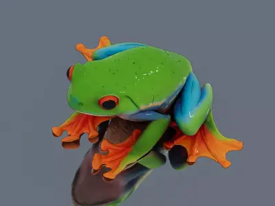 Tree frog Low-poly 3D model