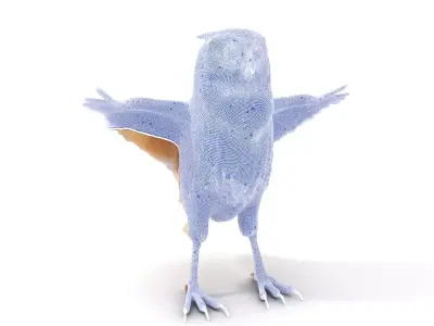 Spotted Owl Animation model pack Low-poly 3D model