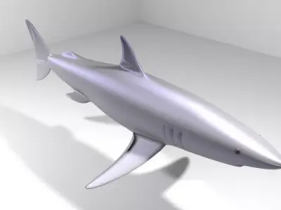Shark - Mako 3D model