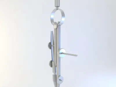 HD Circinus 3D model