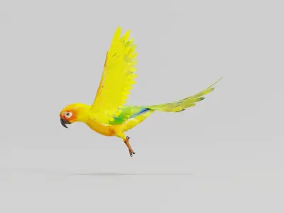Sun Conures Parakeet Bird Low-poly 3D model