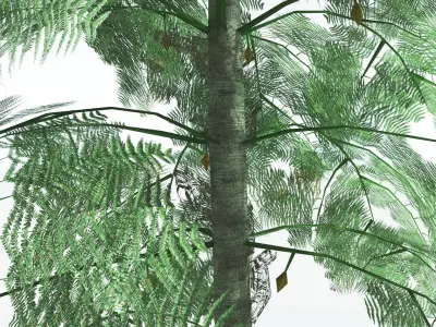EVERYPlant Alethopteris Seed Fern LowPoly 3 --12 Models-- Low-poly 3D model