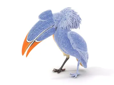 Vibrant Hornbill Bird model pack Low-poly 3D model