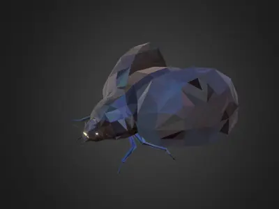 Bug Ladybug Black Low Polygon Art Insect Low-poly 3D model