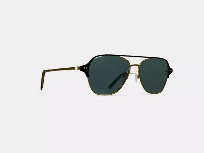 Corson Sunglasses in Jet Black with Polished Gold 3D model