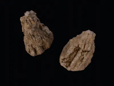 big termite mound Low-poly 3D model