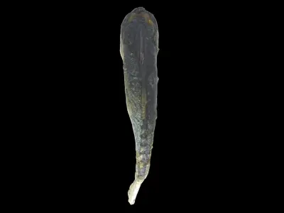 mackerel fried Low-poly 3D model