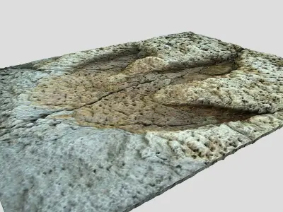 Tyrannosaurus Rex Footprint - fossil-dinosaur-3D Printing 3D model