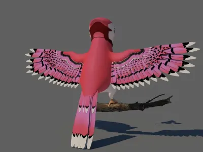 Bird Rigged Female 3D model