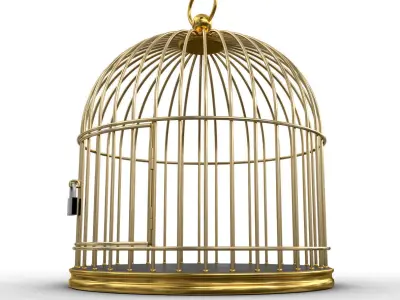 Golden Cage 3D model 3D model