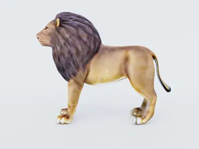 Lion Animal Free 3D model