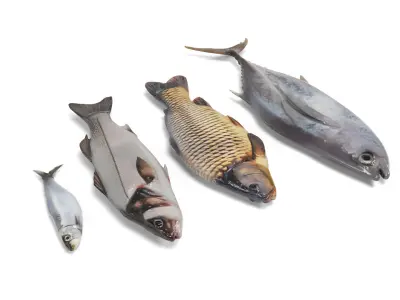 Fish 2 set Low-poly 3D model