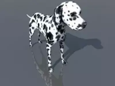 Dalmatian dog Free 3D model