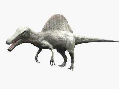 Spinosaurus - rigged 3D model
