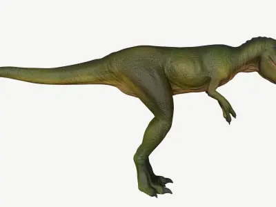 Young Tyrannosaurus Rex Low-poly 3D model