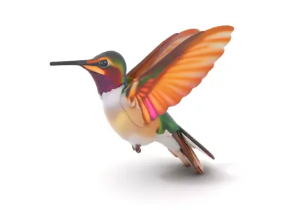Iridescent Hummingbird model pack Low-poly 3D model