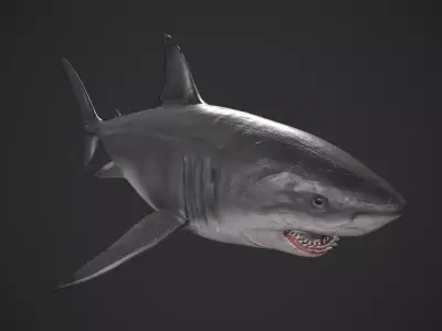 Great White Shark Low-poly 3D model