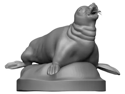 Sea Lion 3D model