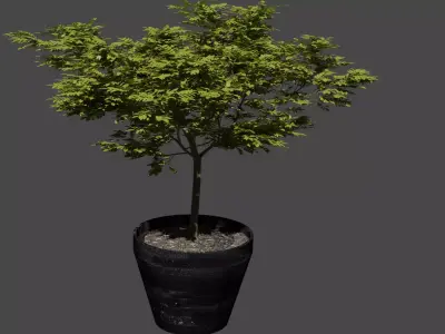 Tree in a pot Free low-poly 3D model