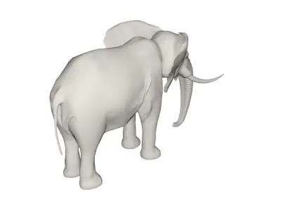 Elephant  3D model