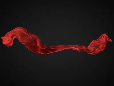 Cloth simulation 3D model