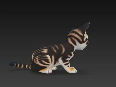 Cat Kitten Realistic 3D Model Basic - Low Poly Realistic Low-poly 3D model