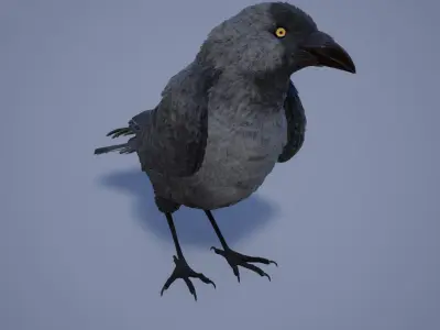 Ravens and Crows Low-poly 3D model