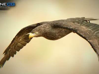 Golden Eagle v3 - Unity Low-poly 3D model