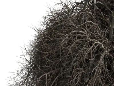 birds nest with pendant lights Low-poly 3D model