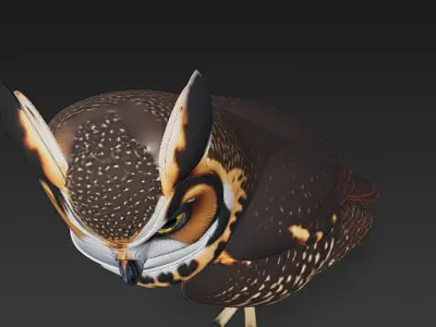Owl Wild Realistic 3D Model - Low Poly Realistic Low-poly 3D model