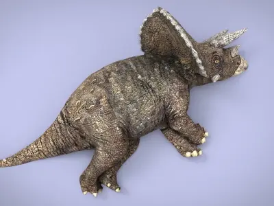 TRICERATOPS dinosaur Low-poly 3D model